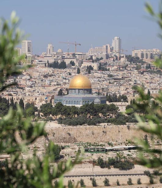 Holy Land Bible Tours